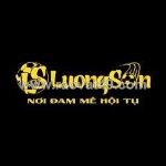 Giới thiệu chung về luongsontv
