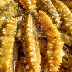 Hải sâm