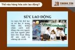 Hàng hoá sức lao động là gì? vai trò trong nền kinh tế thị trường