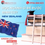 Học ngành gì để được định cư new zealand?