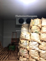Lắp đặt thi công kho lạnh bảo quản khoai tây, kho lạnh bảo quản nông sản
