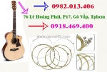 Mua dây guitar lẻ số 1, 2, 3, 4, 5, 6 tại gò vấp, nhạc cụ nụ hồng tphcm