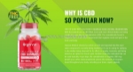 Organna cbd gummies 1000mg: is it helpful for your health and wealth?