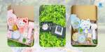 Set hộp quà an nhiên