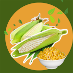 Tại sao bắp nếp, là thực phẩm vàng cho sức khỏe?