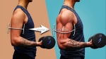 Top best legal steroids for bulking: maximize size and strength