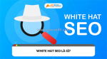 White hat seo là gì? chiến lược seo bền vững giúp website lên top an toàn