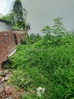 🚗  #đất nguyệt áng - đại áng - ô tô vào nhà  - ngõ thông đẹp-giá hơn 3 tỷ