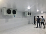 0947459479 lắp đặt kho lạnh trữ thịt bò tại gia lai, lắp đặt kho đông bảo quản