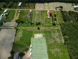 Bán gấp 15.000m2 đất ở thị trấn tân châu tây ninh