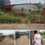 💥bán lô góc 2 mặt tiền – gần kcn nam sơn – gần goertek – đường ô tô tận nhà💥