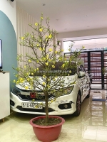 Bán nhà đẹp chính chủ bán – kts thiết kế riêng, full nội thất cao cấp  p.16,