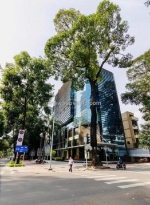 Building góc 2 mt 146 nguyễn đình chiểu, p. vts, quận 3 dt: 21x45m, 2 hầm 13