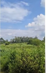 Cần bán gấp lô đất ven sông sài gòn – củ chi