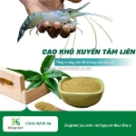 Cao khô xuyên tâm liên có ứng dụng gì trong nuôi trồng thuỷ sản