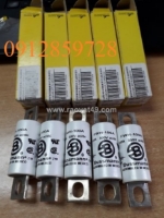 Cầu chì bussmann fwh-100a