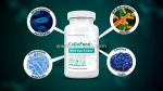 Cellufend blood sugar support reviews