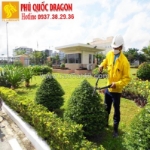 Chăm sóc cây xanh và lợi ích