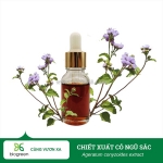 Chiết xuất cỏ ngũ sắc biogreen – nguyên liệu mỹ phẩm chống viêm