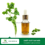 Chiết xuất rau mùi biogreen loài rau thơm có tác dụng tốt cho làn da