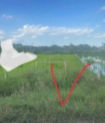 Chính chủ bán 177.1m2 đất mặt tiền bê tông chùa pháp tuyền, đức hòa thượng,