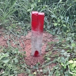 Chính chủ bán đất 580m2, giá 5,5 tr/m2, tại dh614, cây trường ii, bàu bàng,