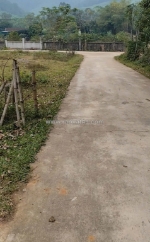 Chính chủ bán lô đất đẹp – xóm 21, nghi văn, nghi lộc – nghệ an