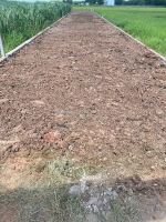 Chính chủ cần bán đất– đức hòa, long an (cũ)