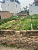 Chủ cần bán 40m2, mt3.7m, 2.8 tỷ, xuân nộn (cũ), thư lâm, hà nội.