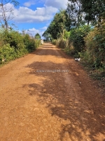 Chư sê- bờ ngoong- gia lai dt hơn 500m2 full hồng lên thổ cư ngay được đường 2