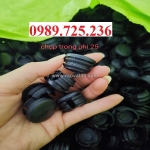 Chụp đầu sắt, chụp ống phi 25mm