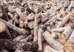 Củi đốt số lượng lớn, giá rẽ, vận chuyển nhanh cung cấp toàn quốc