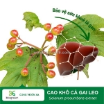 Cung cấp cao khô cà gai leo hàng chất lượng cao giá cạnh tranh