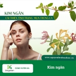 Cung cấp cao khô kim ngân hoa trong sản xuất thực phẩm bảo vệ sức khỏe