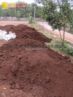 Cung cấp đất màu đất đỏ bazan ở đồng nai giá tốt