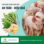 Cung cấp thảo dược trong chăn nuôi thú y thủy sản giá tốt