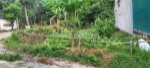 Đất siêu đẹp - giá đầu tư- chính chủ  cần bán lô đất tại  xã sơn bình, hương