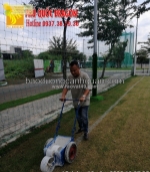 Dịch vụ cắt tỉa cây xanh, cắt cỏ phát hoang ở đồng nai, hcm