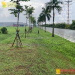 Dịch vụ chăm sóc bảo dưỡng cây xanh nhà máy ở đồng nai