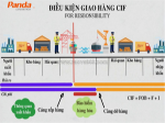 Điều kiện giao hàng cif