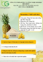 Enzyme bromelain dạng bột – nguyên liệu thực phẩm chức năng chuẩn iso