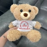 Gấu bông – món quà không bao giờ lỗi thời cho mọi dịp đặc biệt