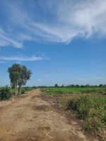 Hót bán gấp 2 hecta đất nông nghiệp mt kênh đông củ chi, , giá đầu tư chỉ 40 tỷ