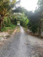 Kẹt vốn bán đất vườn sầu riêng thái cây đang cho thu hoạch (4 năm) tại thị trấn