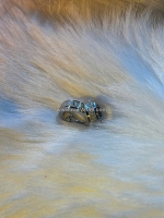 Khuyên tai nam – điểm nhấn cá tính cho phái mạnh