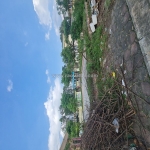 Lô góc đường 3 ô tô tránh. 61m2 trâu quỳ, gia lâm, hà nội. nhỉnh 7 tỷ. lh