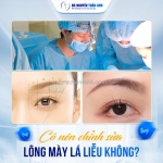 Lông mày lá liễu: tướng người hiền hậu, dễ gặp quý nhân