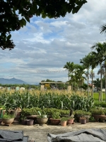 Rẻ nhất khu vực sơn trà - sát võ văn kiệt 44m2 kiệt 3.5m chỉ 3.4 tỷ