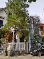 Siêu biệt thự-khu vườn đào (lạc long quân) 5m/ 5tầng (có hầm), mt 25m