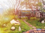 Sở hữu ngay homestay discovery sapa  - giá tốt - vị trí đắc địa tại trung tâm